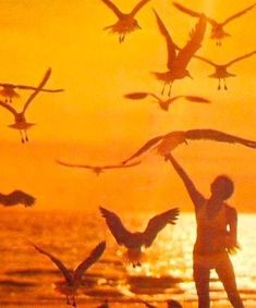 a woman standing on the beach with seagulls flying over her and sunset in the background