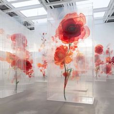 an art installation with red and orange flowers on the wall, in front of clear acrylic panels