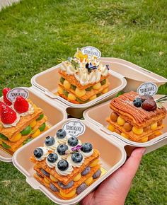 there are four different desserts in trays on the grass and one is being held up