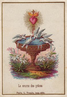 a card with birds on top of a fountain and the words la source des graces