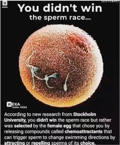 Science Facts Mind Blown, Interesting Science Facts, Facts About World, True Interesting Facts, Interesting Facts About World, Cool Science Facts, Amazing Science Facts, Psychological Facts