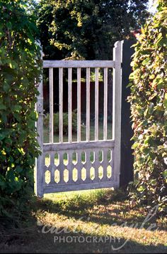 an open gate in the middle of some bushes