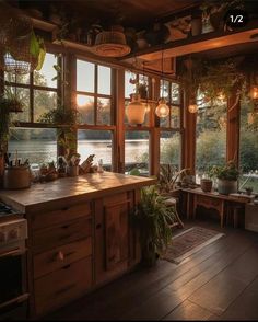 a kitchen with lots of windows and plants on the counter top in front of it