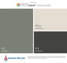 the colorsnap visualizer is shown in gray, white and grey with black accents