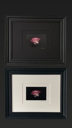 two black and white framed pictures with pink flowers on the bottom, one in between them