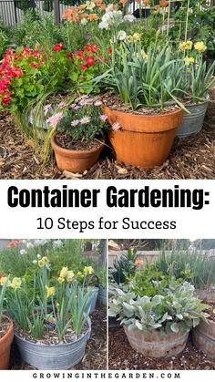 container gardening 10 steps for success