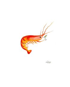 a drawing of a shrimp with long legs and orange tail, flying through the air