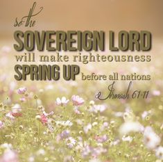 a field with flowers and the words sovereign lord will make righteousness spring up before all nations