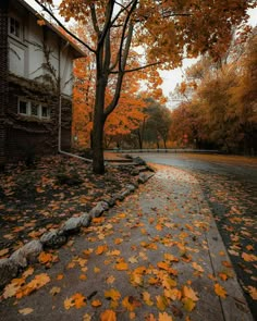 an autumn scene with leaves on the ground and trees in front of a brick building