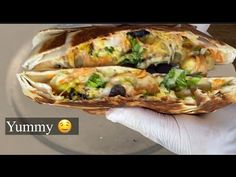 a hand holding a burrito filled with lots of veggies