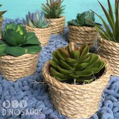 several small succulents are in baskets on a blue mat with rope wrapped around them