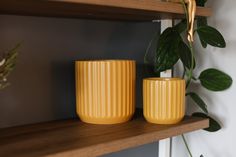 two yellow cups sitting on top of a wooden shelf next to a potted plant