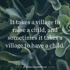 a plant with the words it takes a village to raise a child, and sometimes it takes a village to have a child