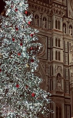 Foto duomo di Firenze con albero di Natale illuminato Florence Christmas, Christmas In Italy, Italy Florence, Italian Life, Christmas Photo, Florence Italy, Christmas Wallpaper, Vienna, Christmas Time