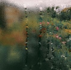 flowers are seen through the rain on a window