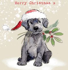 a christmas card with a dog wearing a santa hat and holding a holly berry branch