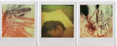 three polaroid photographs of a man's face and body with flowers on them