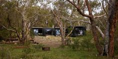 two black cabins in the woods with trees around them and benches on the ground near by