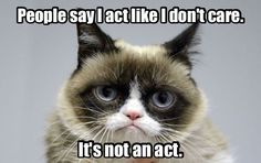 a grumpy cat with the caption people say i act like i don't care it's not an act