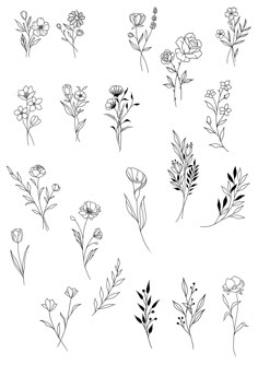 the various flowers are drawn in black and white