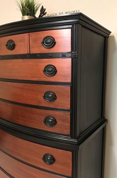 a black and brown chest of drawers next to a plant on top of a table