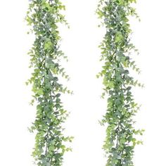 two green plants hanging from the side of a white wall