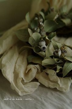 some flowers are laying on top of a white cloth with green leaves and buds in the middle