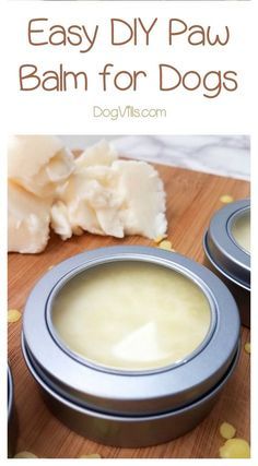 an easy diy paw balm for dogs is the perfect way to keep your dog happy and healthy