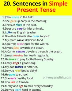 a poster with the words 20 sentences in simple present tense written on it's side