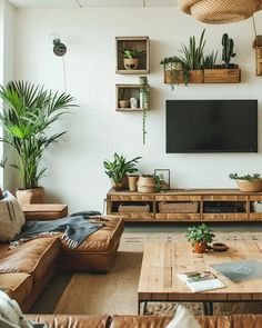 a living room filled with lots of furniture and plants on top of the wall mounted tv