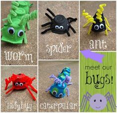 there are many different types of bugs on the ground with words written in each one