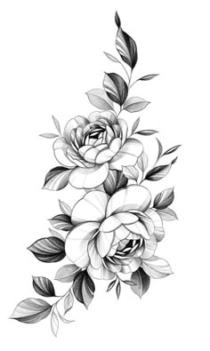 black and white drawing of flowers with leaves on the bottom half of each flower,