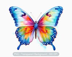 a colorful butterfly with watercolors on it's wings and the words png transparent