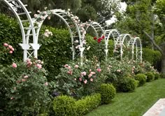 a row of white trelliss with pink roses in them