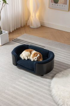 an orange and white cat laying on top of a dog bed in a living room