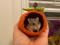 a hamster in a knitted orange tube