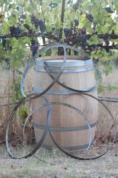 a wooden barrel sitting in the middle of a field next to a vine covered fence