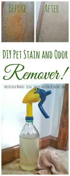 the before and after pictures show how to remove stains from carpet with this diy pet stain and odor remover