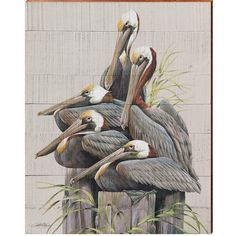 a group of pelicans sitting on top of a wooden post in front of a wall