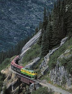 a train traveling over a bridge on the side of a mountain with lots of trees