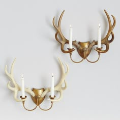 two deer antlers mounted to the side of a wall with three candles in front of them