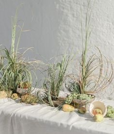 some plants are sitting on a table with white cloths and other items around them