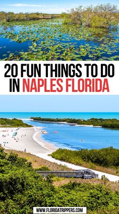 20 Fun Things To Do In Naples, Florida Bucket List Florida, Florida Naples, Florida With Kids, Things To Do In Florida, Usa Travel Guide