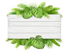 a wooden sign surrounded by tropical leaves on a white background with place for your text