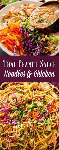 thai peanut sauce noodles and chicken on a plate with vegetables in the middle, and another side dish