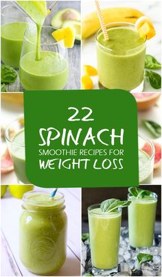 Best Spinach Smoothie Recipe, Spinach Smoothie Recipes, Indian Masala, Smoothie Fruit, Best Smoothie, Breakfast Low Carb, Women Tips, Overnight Oat