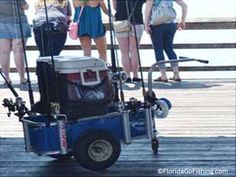 a group of people standing on top of a pier next to a small blue cart