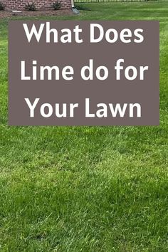 what does lime do for your lawn Lime For Lawns, Benefits Of Lime, Lawn Care Diy, Lawn Mowing Business, Lawn Striping, Lawn Repair, Lawn Care Schedule