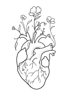 Heart tattoo
Heart with flowers
Heart tattoo design
Tatuaje corazon anatomico Human Heart Outline, Human Heart Art, Human Heart Drawing, Embroidered Canvas Art, Mom Tattoo Designs, Black Paper Drawing, Indie Drawings