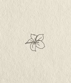 an ink drawing of a flower on paper